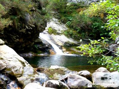 Hayedos Parque Natural de Redes;excursiones de montaña singles senderismo madrid excursiones de un 